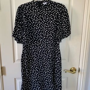 Zara Polka Dot Dress